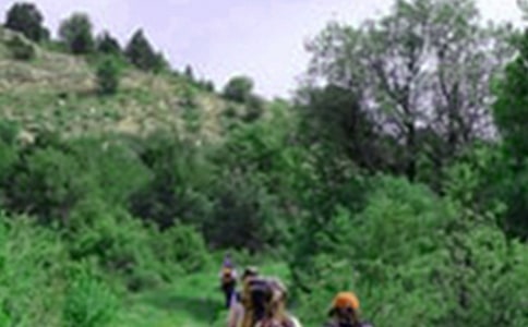 【实用】爬山的作文300字3篇