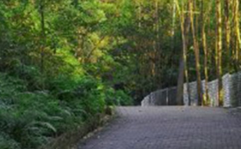 ��ɽ������300��3ƪ(��)