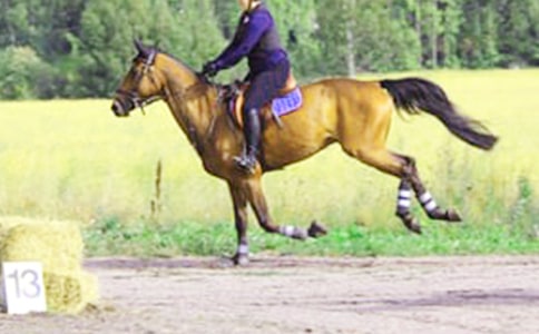 ��һ����������(����15ƪ)