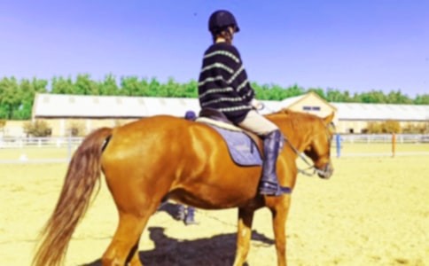 ���Ƽ�����������300����ƪ