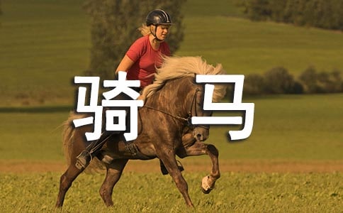 ������������300��7ƪ