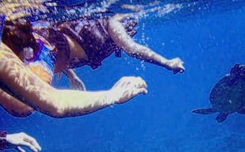 Ǳˮ������