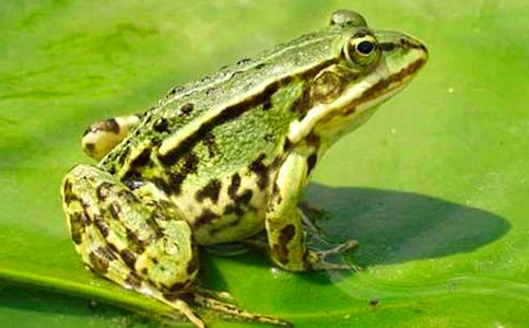 ���ܹ۲��ռ�