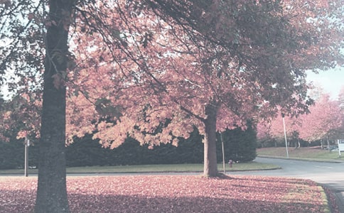 �＾��ȫ�����ƻ���ͨ��25ƪ��