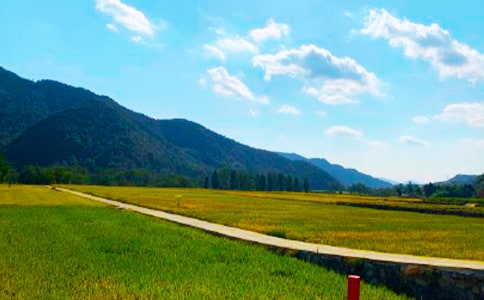 ����ʵ������