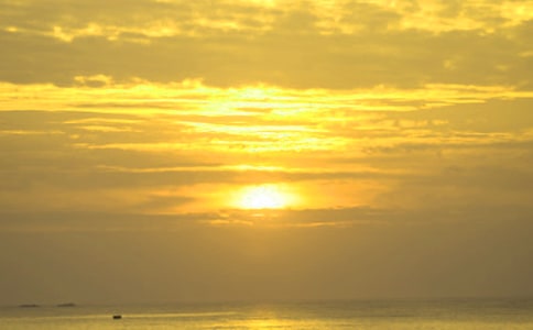 ������д�ճ����ִ���