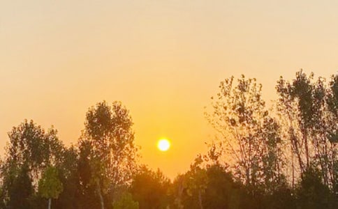 �ճ����ķ���[15ƪ]