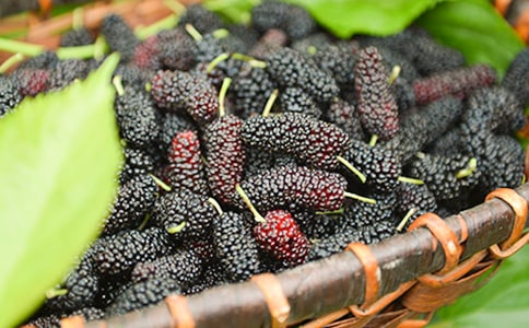 ժɣ�����ġ��ȡ�