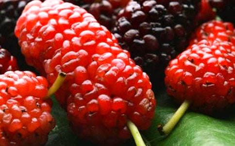 ժɣ��������ѡ(15ƪ)