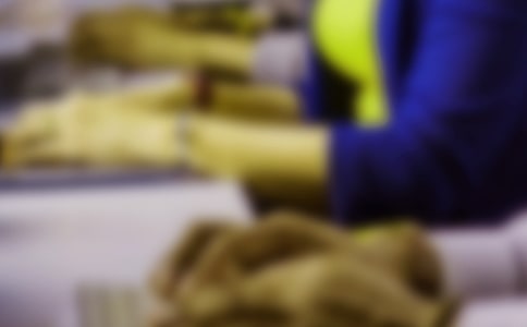 ��������ʵѵ����[��Ʒ14ƪ]