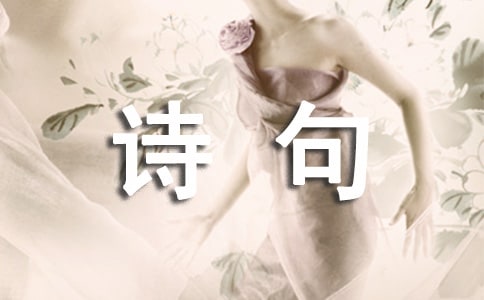 ��д������ʫ������