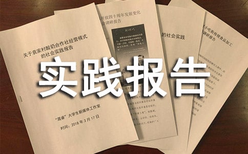 诊所社会实践报告7篇