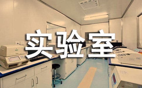 化学实验室总结报告