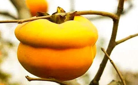 ժ��������