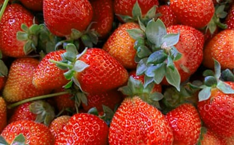 大班美术水果教案(精选22篇)