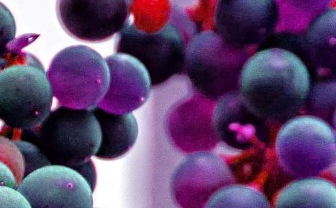 ������Խ̰��������ˮ��������ѡ21ƪ��