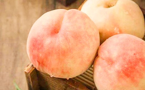 ˮ�������ģ���ѡ65ƪ��