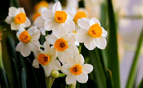 ˮ�ɻ��۲��ռ�(���15ƪ)