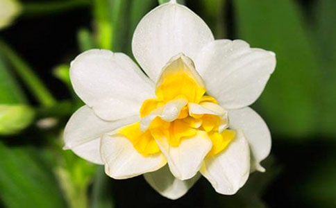 ˮ�ɻ��۲��ռǼ���15ƪ