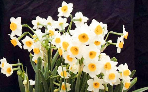 ˮ�ɻ��۲��ռǺϼ�15ƪ