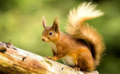 ������ �Ķ�����ѡ[15ƪ]