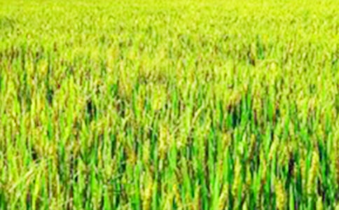 ������Ұ���ģ�ͨ��35ƪ��