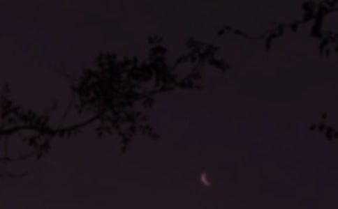 ��������Ȧ����ף�����ѡ45�䣩