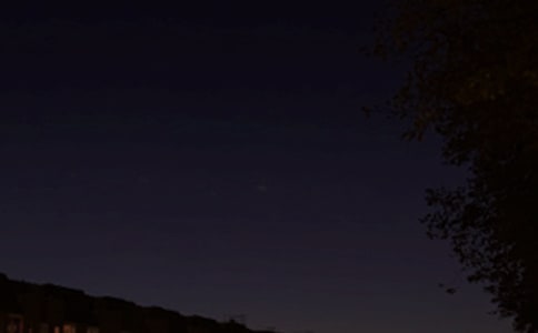 ��ѡ���õ������ʺ���41��