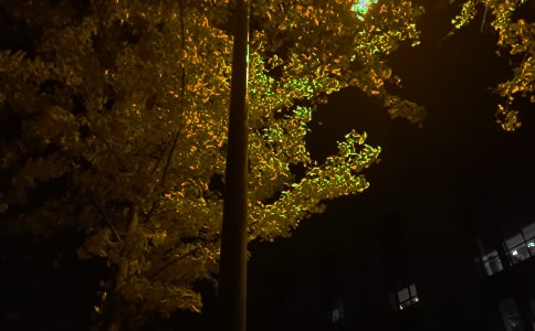 2025�꾫ѡ���õ������ʺ���󼯺�64��