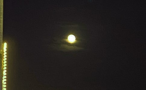 �ܶ�����������