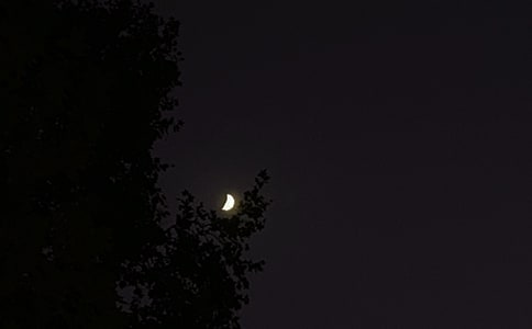 �����������ʺ�����¼��ϼ�73��