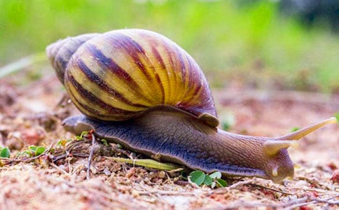 �۲���ţ����ͨ��15ƪ