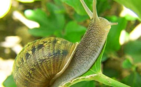 �۲���ţ�ռ�