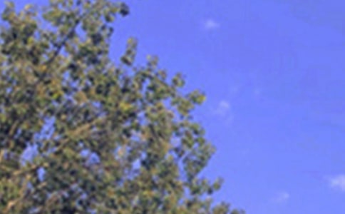 �������簲˵˵90��