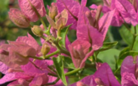 ��������Ȧ�簲ף���ͨ��70�䣩