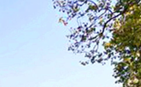 2026����ܰ���簲QQ�ʺ���62��