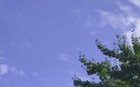 �����������簲�İ���ͨ��100�䣩