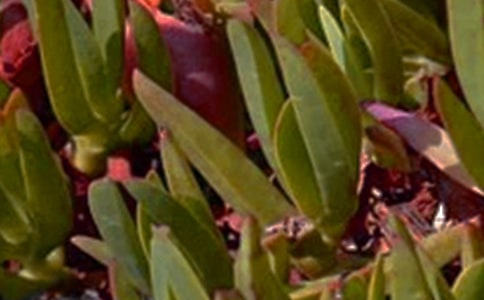 关于正能量午安祝福语汇总(精选50句)