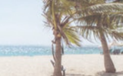 �ļ����Ԥ������