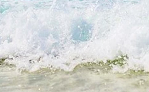 �����Ψ���İ�