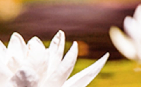 ����ϰ��