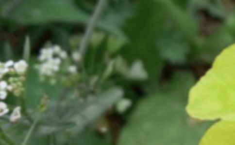 �ʺ�����������Ȧ�ľ���