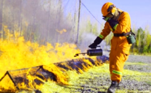 ���ȣ����������ƻ�15ƪ