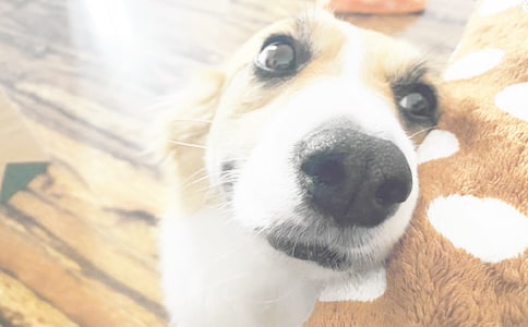 С����С�㿴ͼд�����꼶