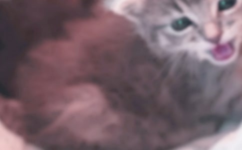 Сè׽�㿴ͼд��