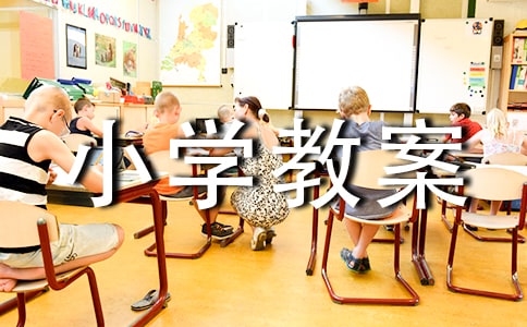 (经典)小学教案检查总结