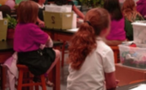 �����š�Сѧ���ܼǷ�����ƪ