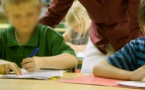 �ҳ�����Сѧ���ۺ����������ֲ�540��