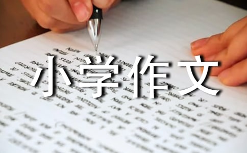 风小学作文15篇