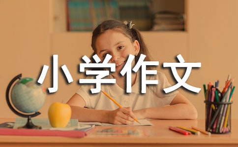 水小学作文